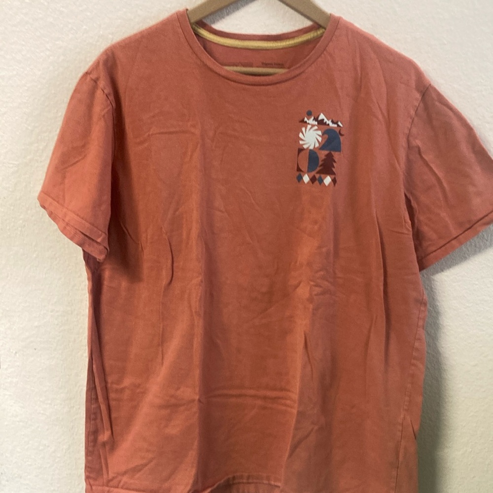 Patagonia graphic t shirt